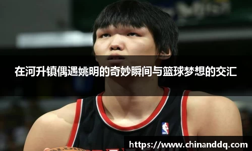 在河升镇偶遇姚明的奇妙瞬间与篮球梦想的交汇