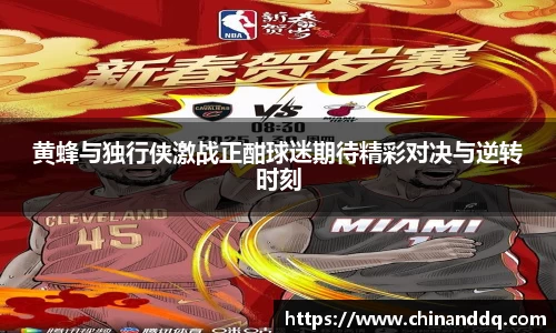 黄蜂与独行侠激战正酣球迷期待精彩对决与逆转时刻